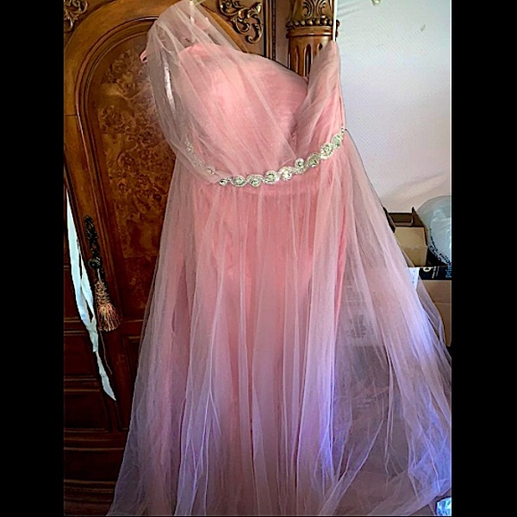 Plus size Dusty Pink Sheer Lace and Tulle Ball Gown - Picture 6 of 12
